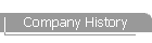 Company History